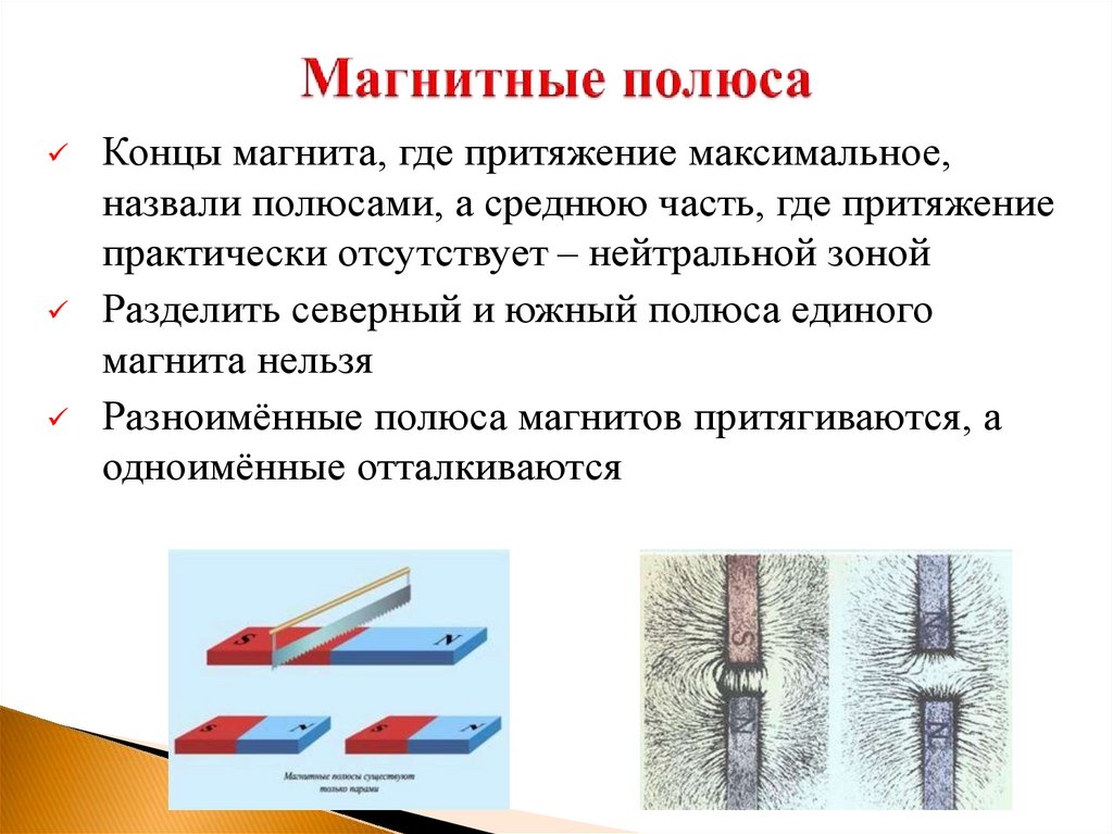 Магнитные полюса