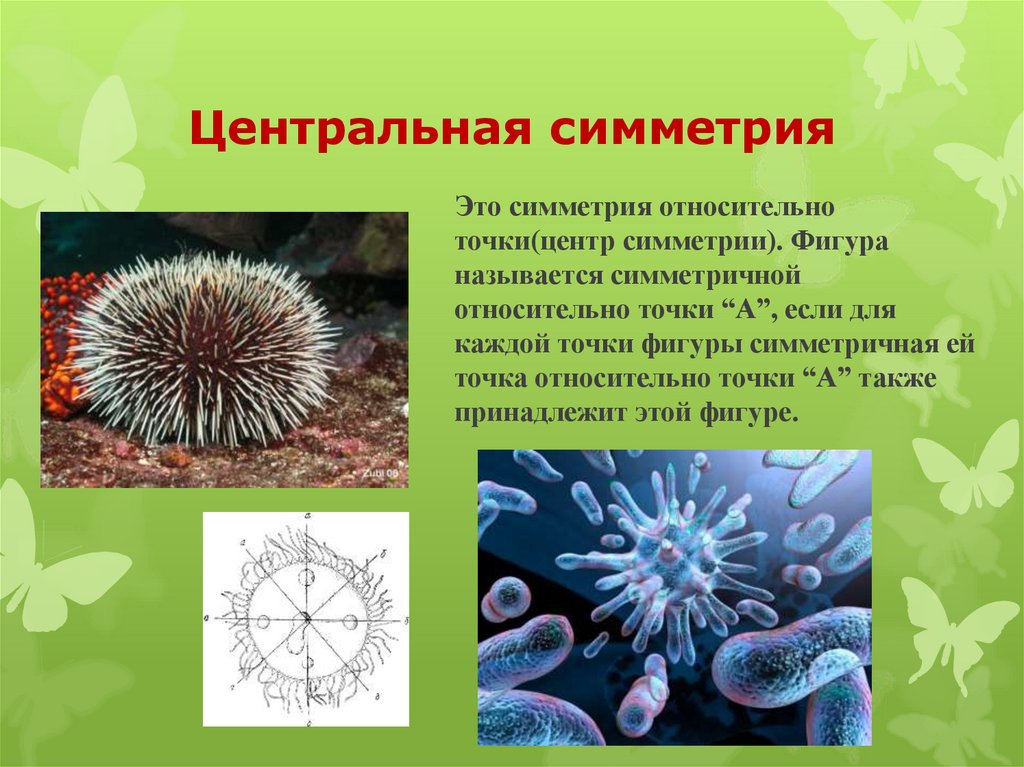 Центральная симметрия