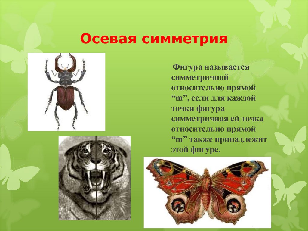 Осевая симметрия