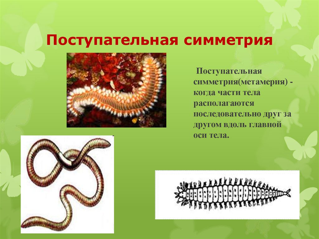 Поступательная симметрия