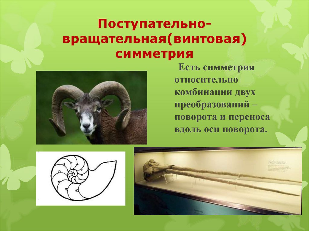 Поступательно-вращательная(винтовая) симметрия