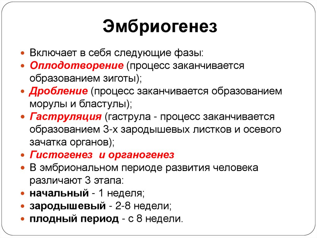 Эмбриогенез