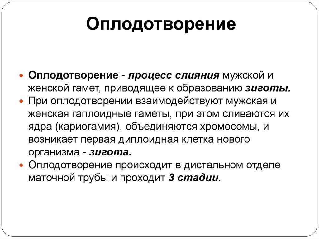 Оплодотворение