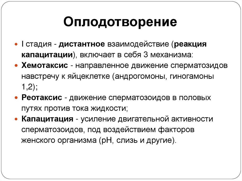 Оплодотворение