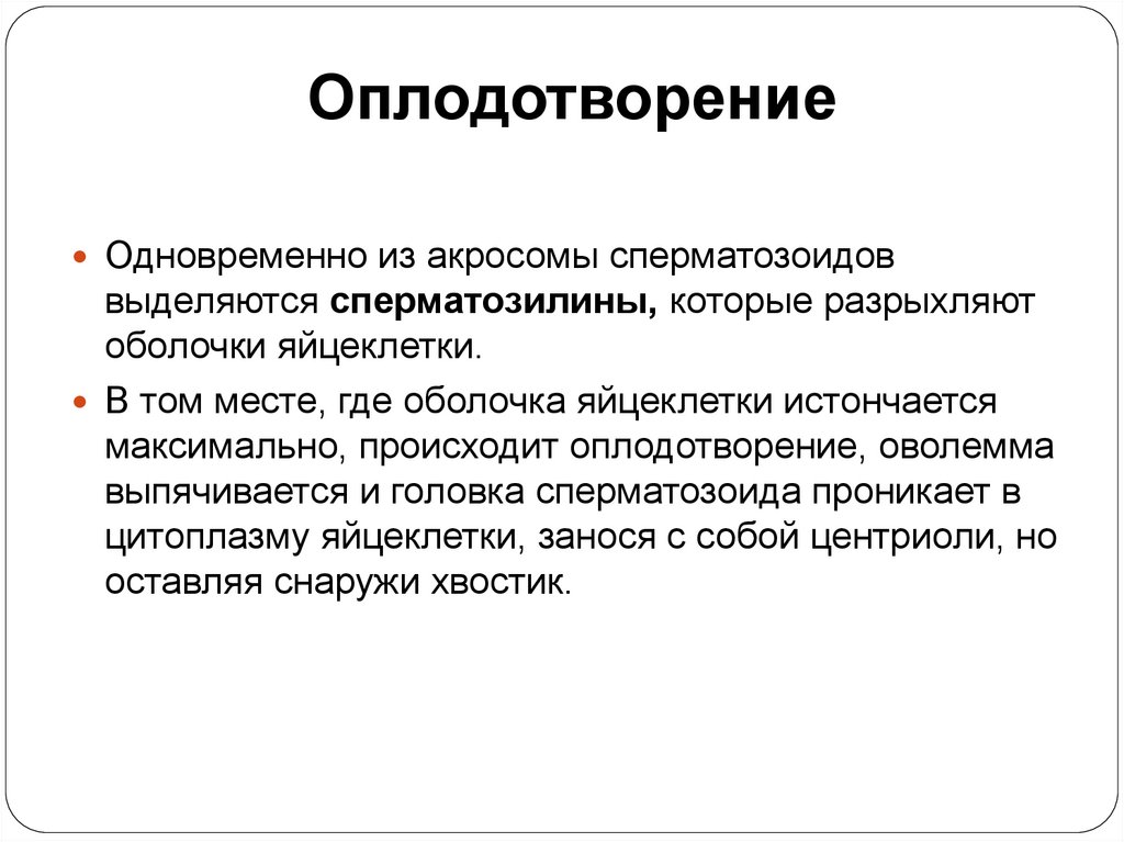 Оплодотворение