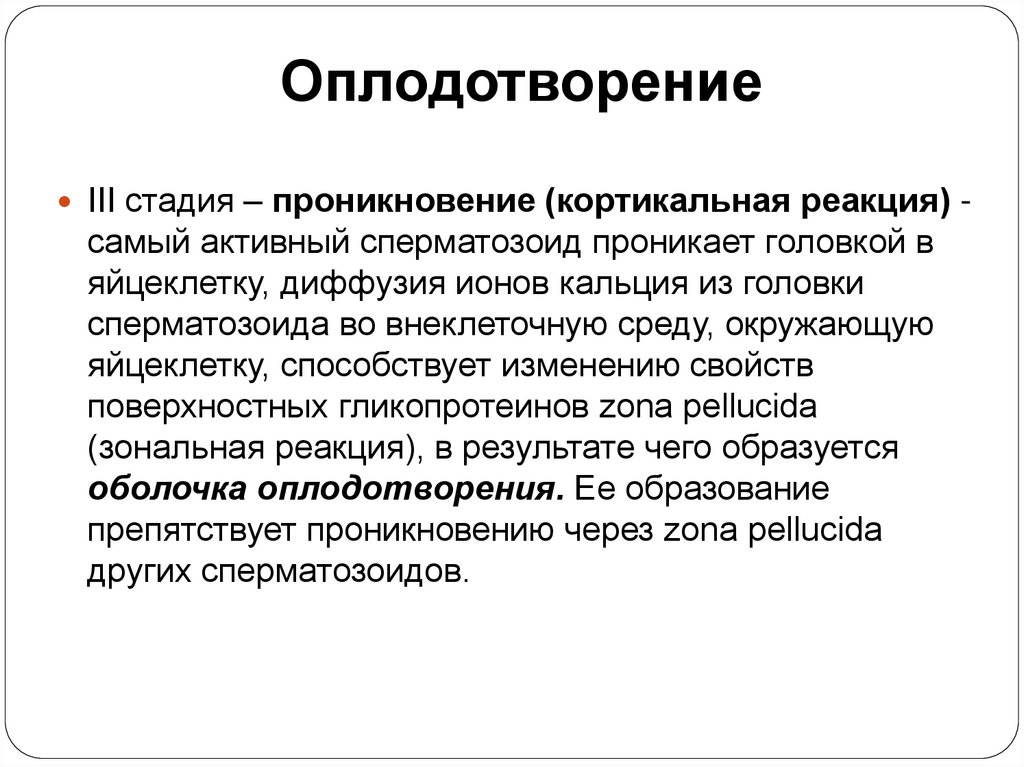 Оплодотворение