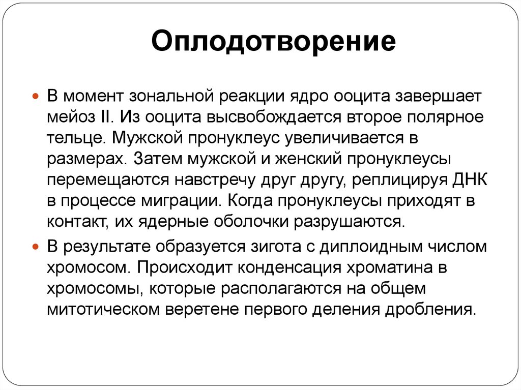 Оплодотворение