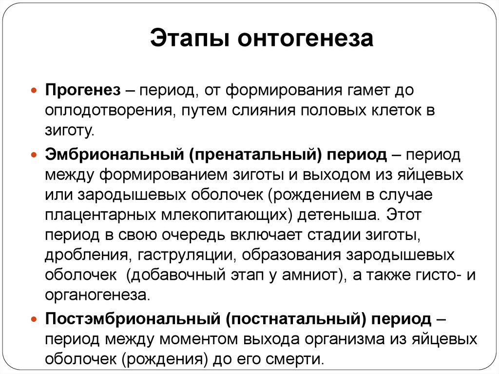 Этапы онтогенеза