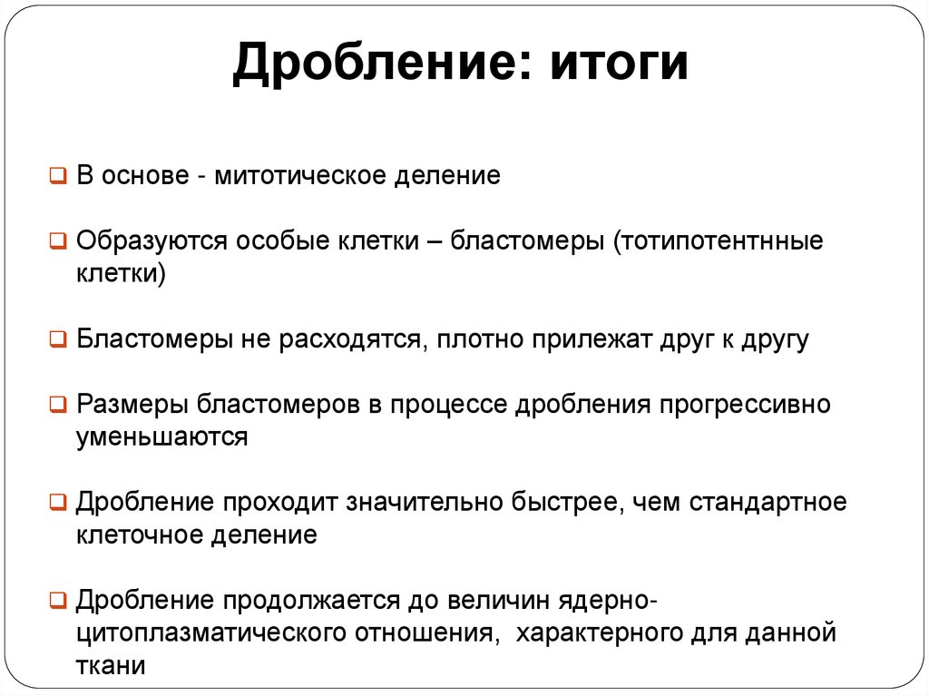 Дробление: итоги