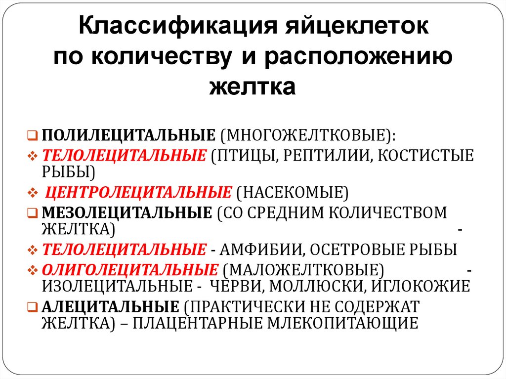 Классификация яйцеклеток по количеству и расположению желтка