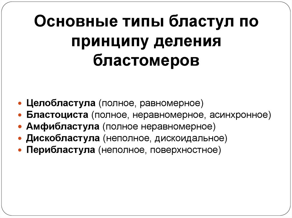 Основные типы бластул по принципу деления бластомеров