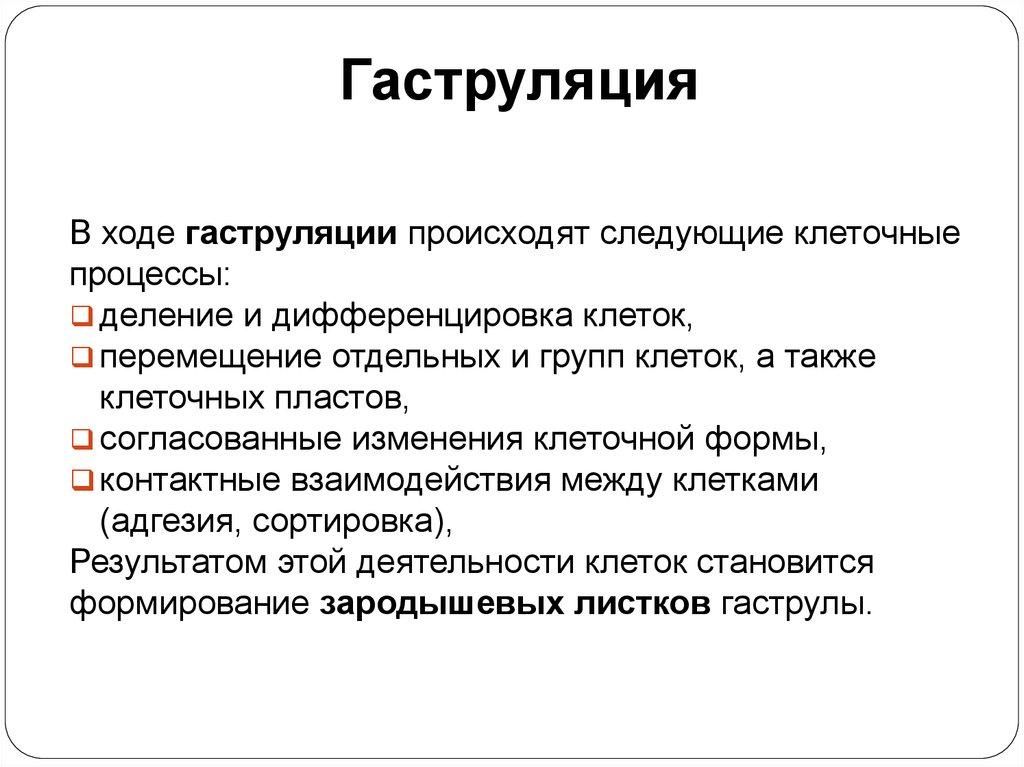 Гаструляция