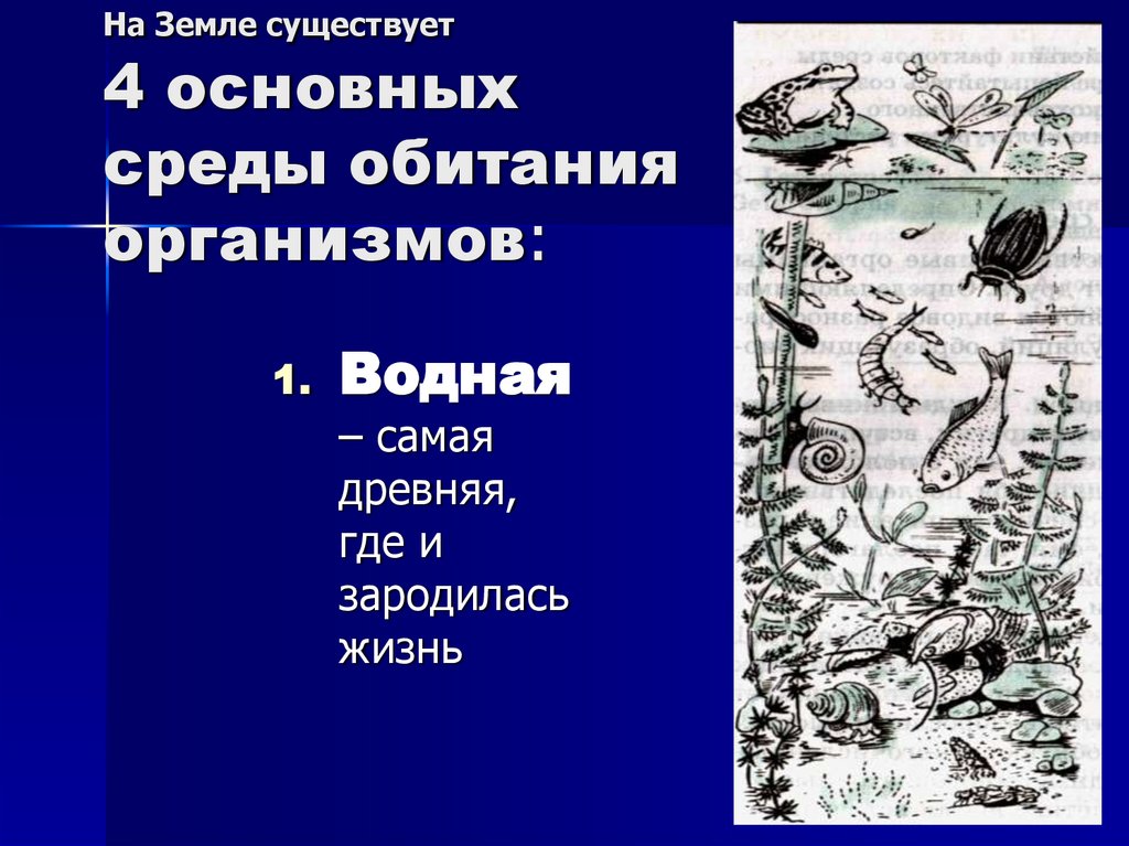 На Земле существует 4 основных среды обитания организмов: