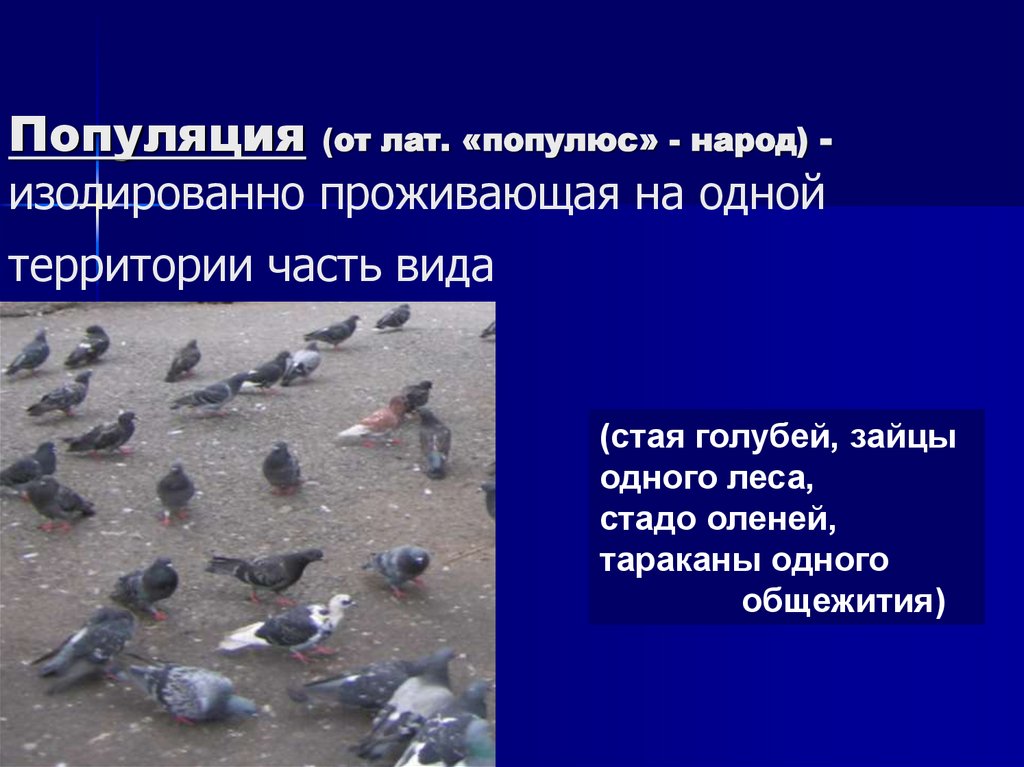 Популяция (от лат. «популюс» - народ) - изолированно проживающая на одной территории часть вида