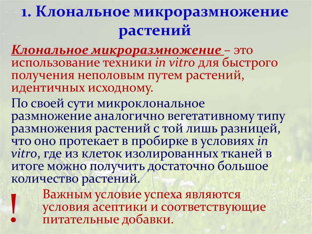 1. Клональное микроразмножение растений