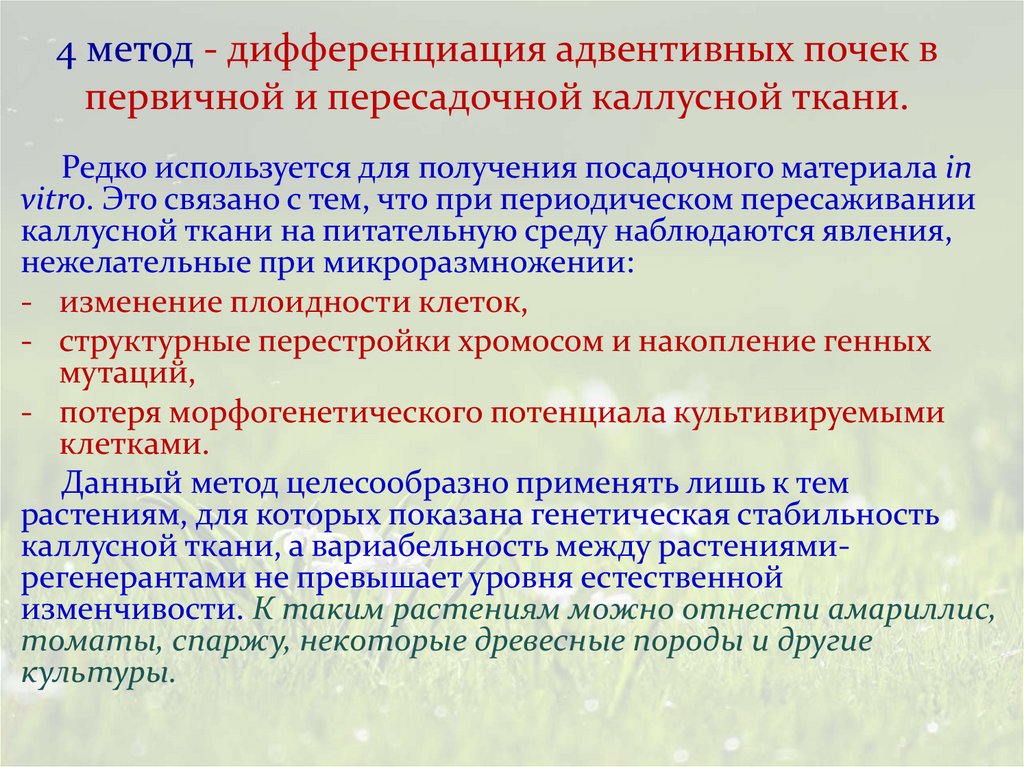 4 метод - дифференциация адвентивных почек в первичной и пересадочной каллусной ткани.