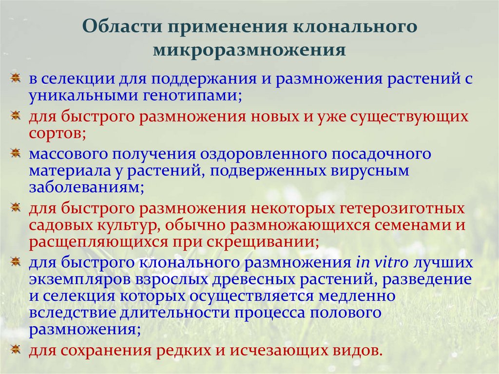 Области применения клонального микроразмножения