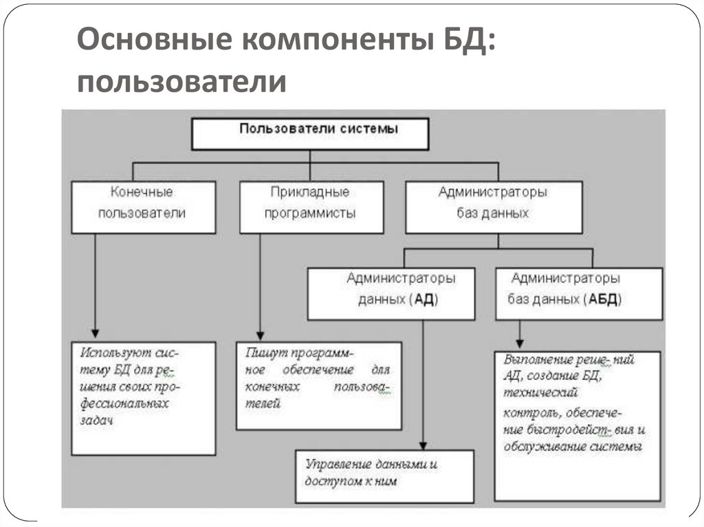 Основные компоненты БД: пользователи