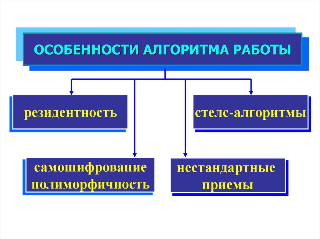 Сетевые вирусы