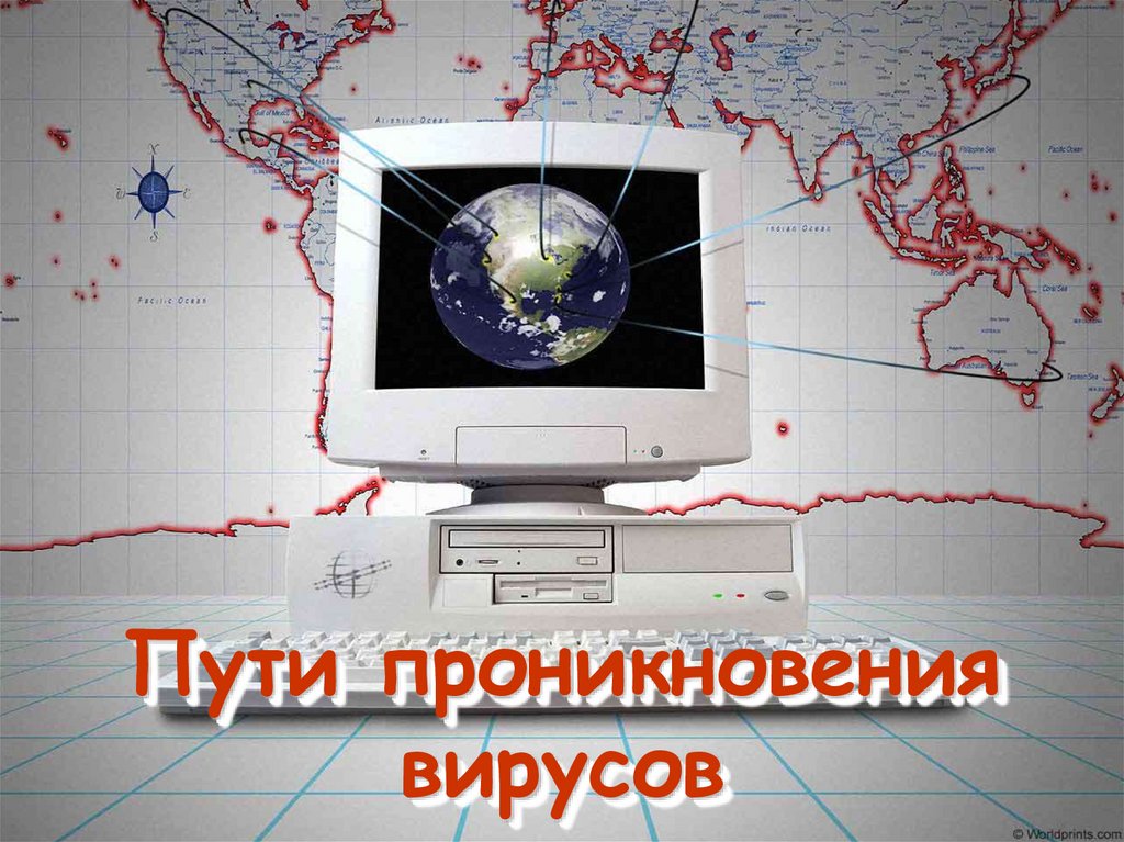 По деструктивным особенностям вирусы можно разделить на: