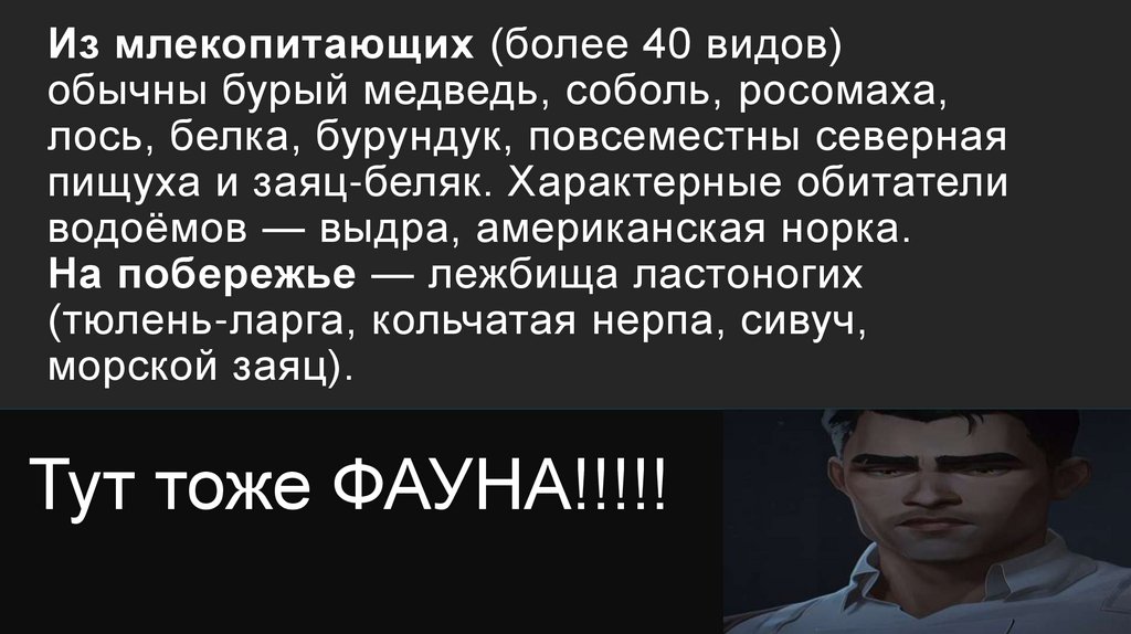 Из млекопитающих (более 40 видов) обычны бурый медведь, соболь, росомаха, лось, белка, бурундук, повсеместны северная пищуха и