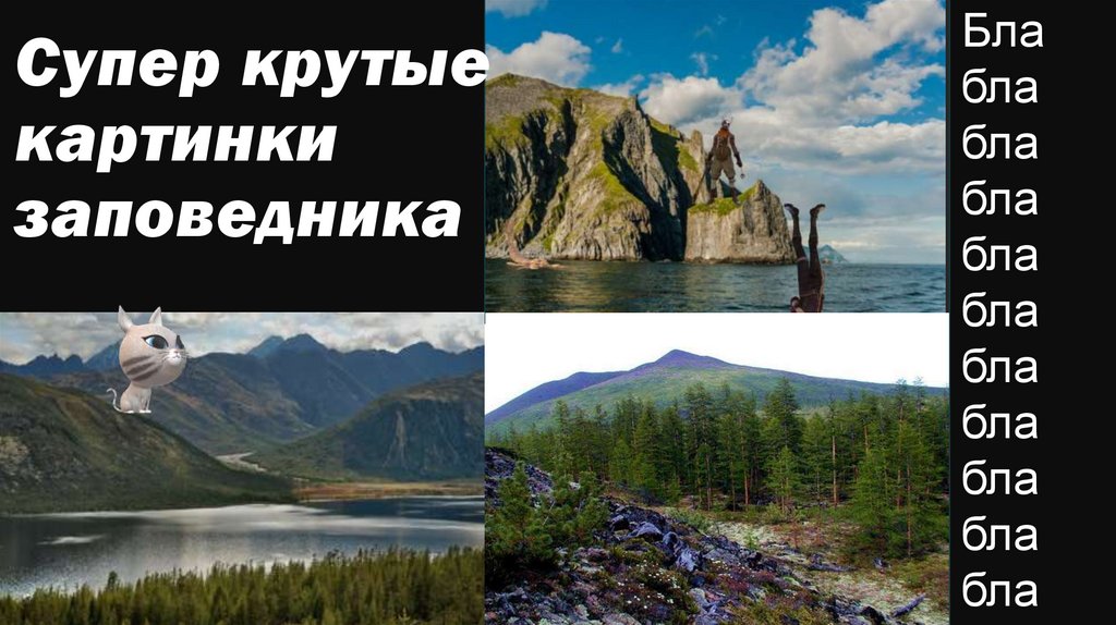 Супер крутые картинки заповедника