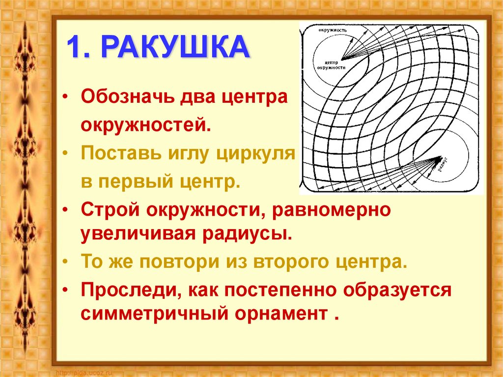 1. РАКУШКА