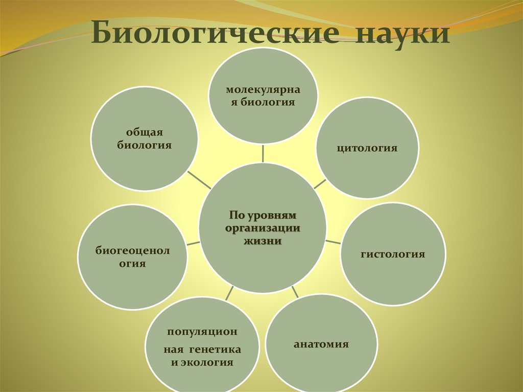 Биологические науки