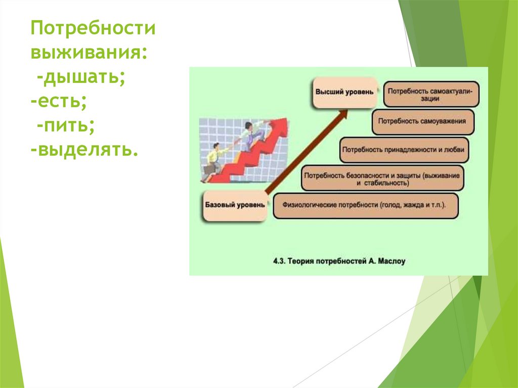 Потребности выживания: -дышать; -есть; -пить; -выделять.