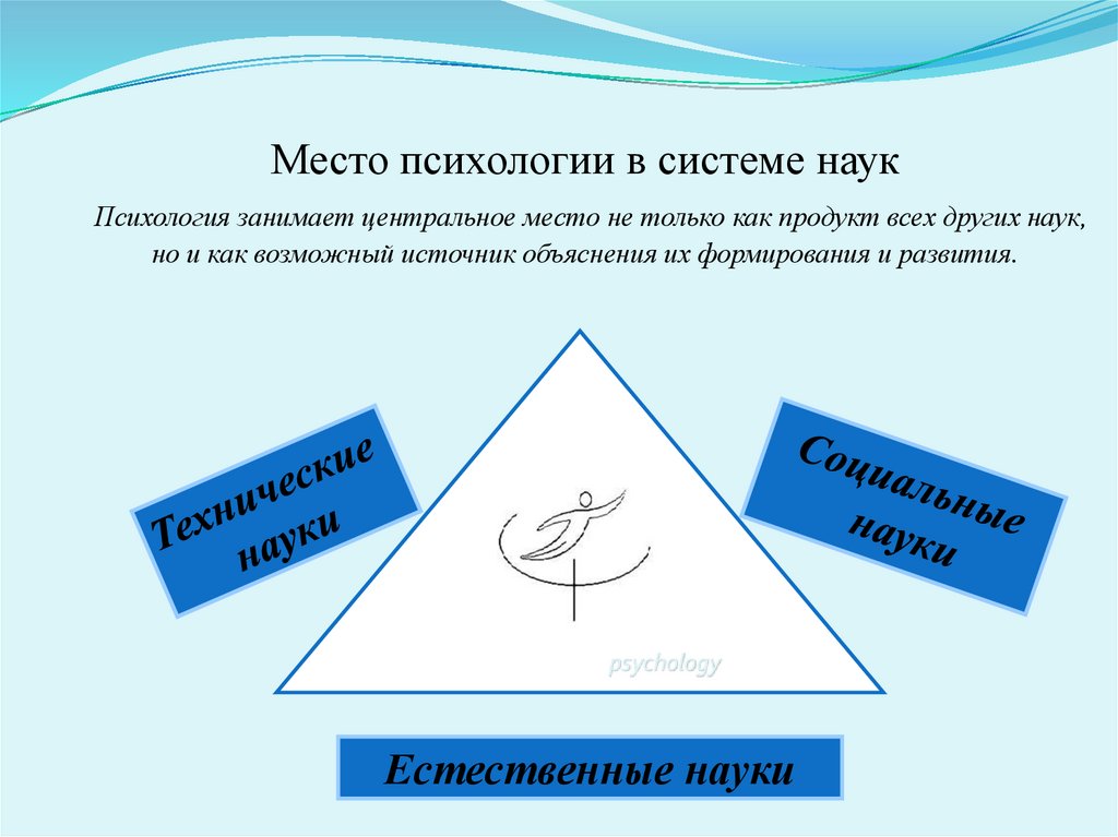 Место психологии в системе наук Психология занимает центральное место не только как продукт всех других наук, но и как