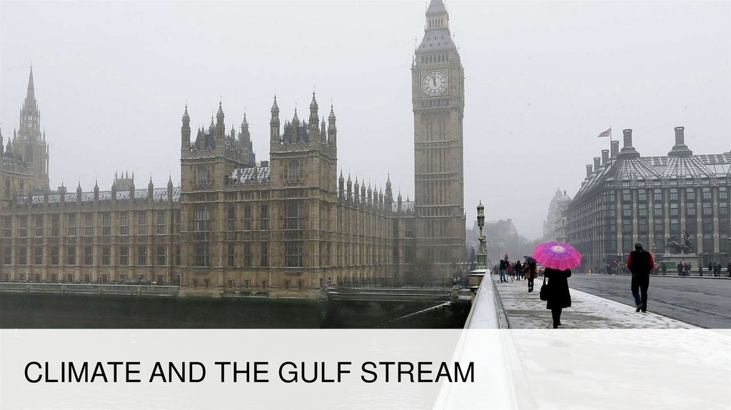Climate and The Gulf Stream