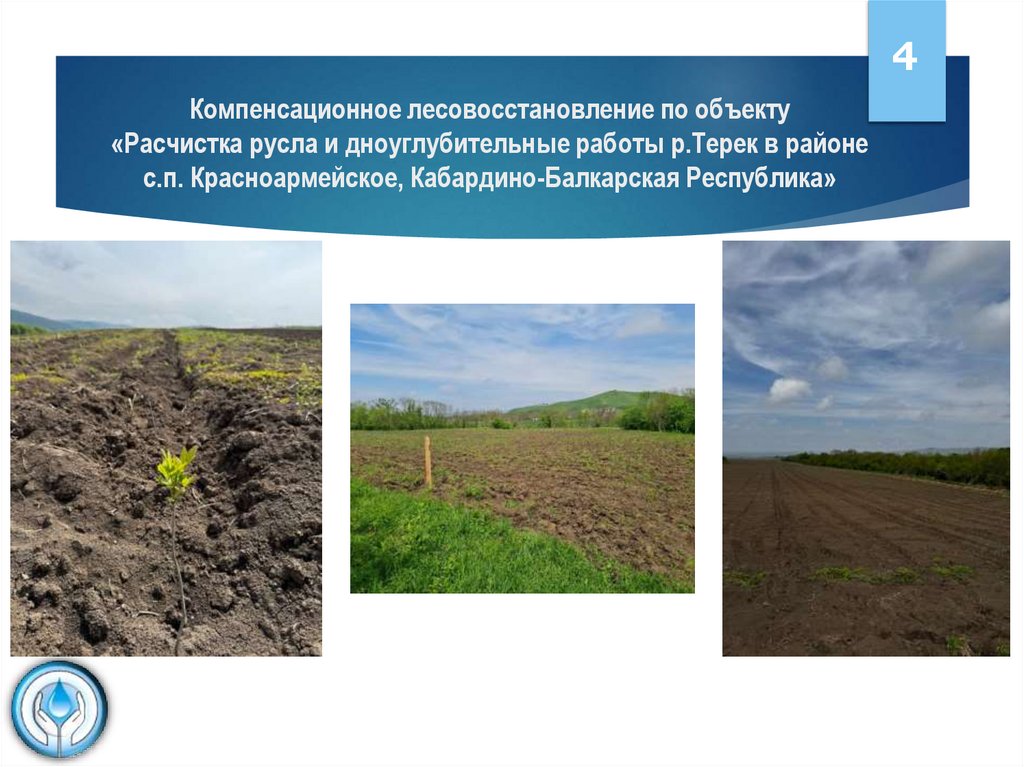 Компенсационное лесовосстановление по объекту «Расчистка русла и дноуглубительные работы р.Терек в районе с.п. Красноармейское,