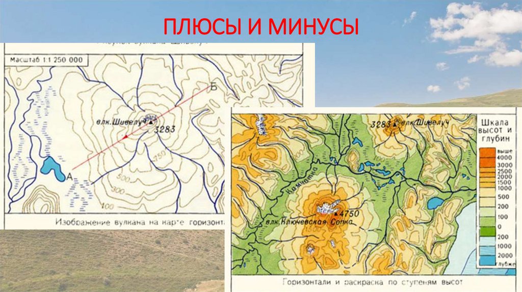 ПЛЮСЫ И МИНУСЫ