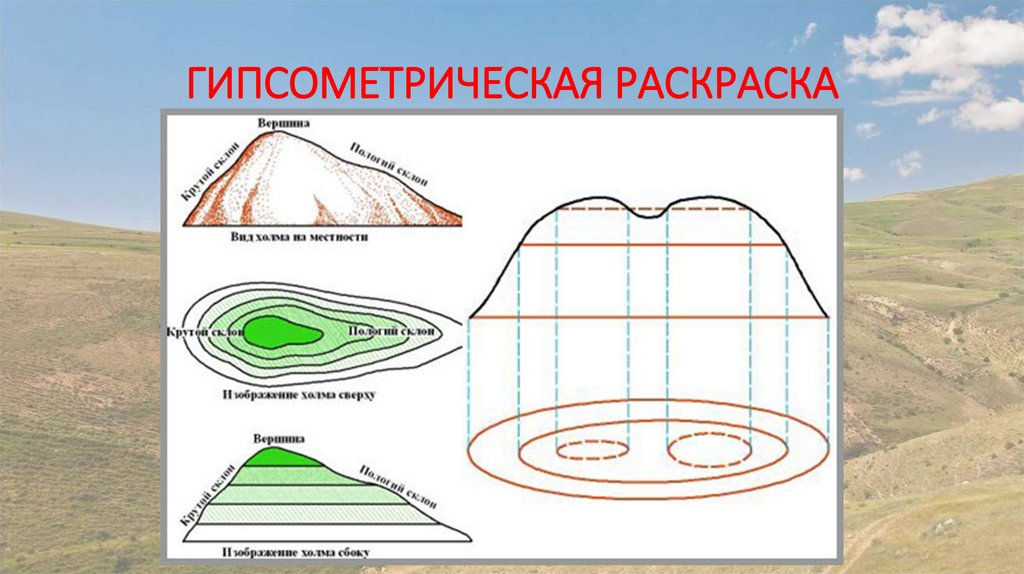 ГИПСОМЕТРИЧЕСКАЯ РАСКРАСКА