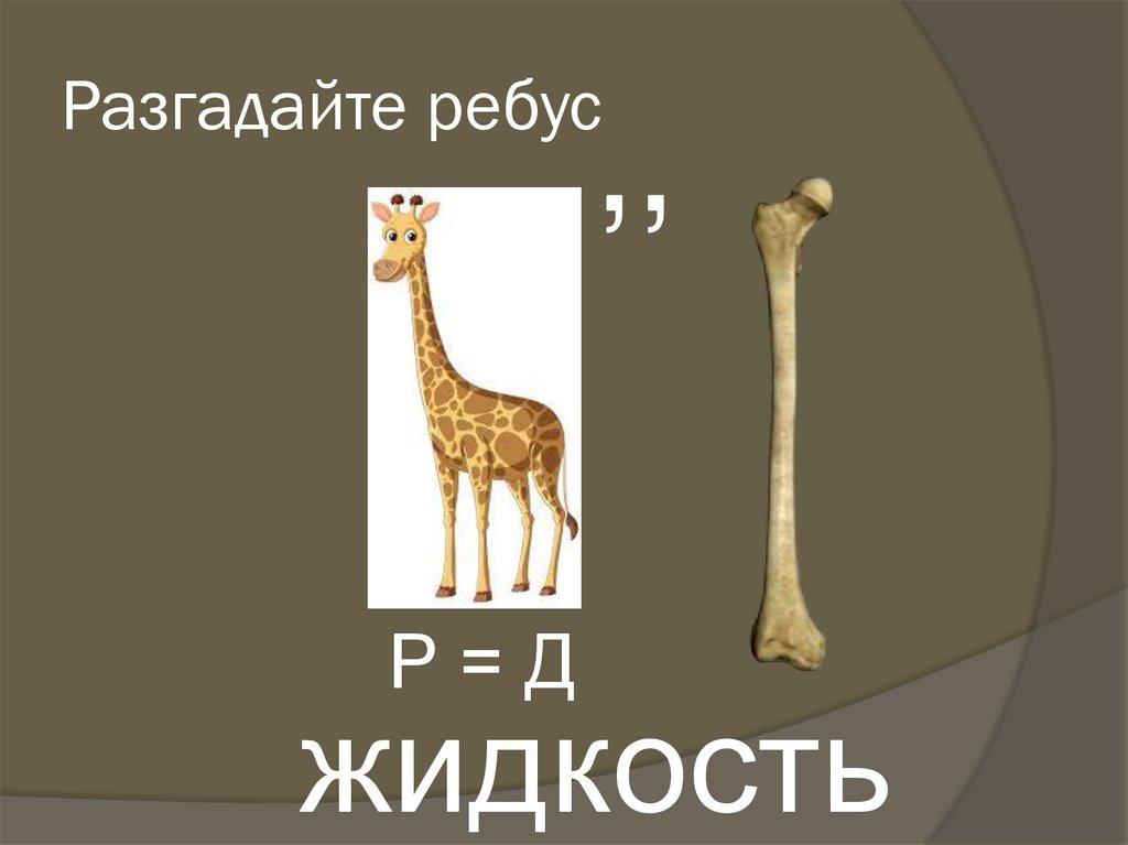 Разгадайте ребус