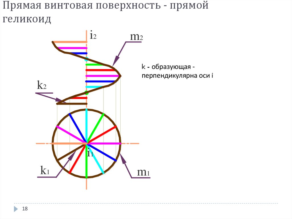 Прямая винтовая поверхность - прямой геликоид