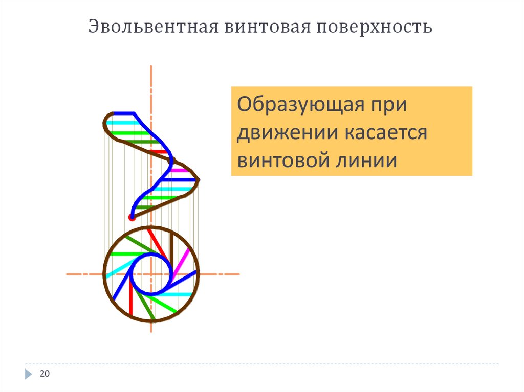 Эвольвентная винтовая поверхность