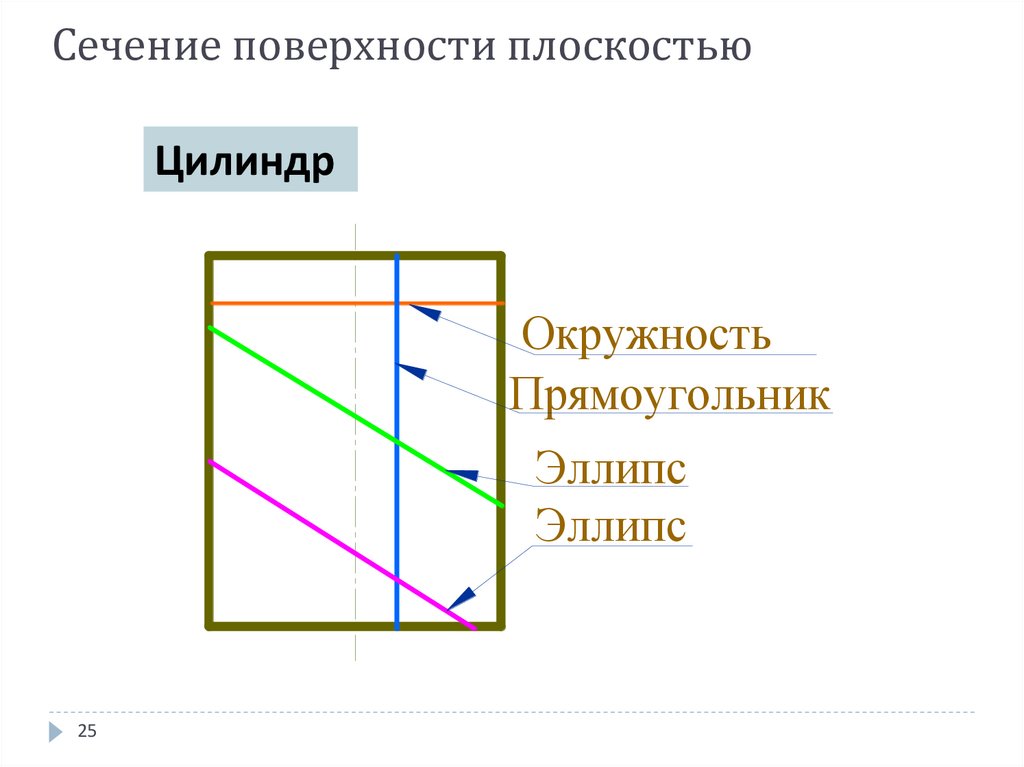 Сечение поверхности плоскостью