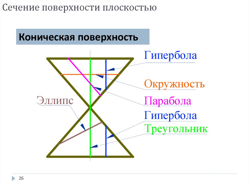 Сечение поверхности плоскостью