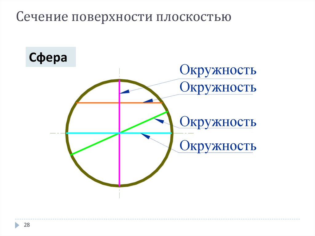 Сечение поверхности плоскостью