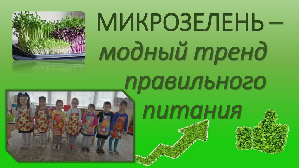 МИКРОЗЕЛЕНЬ – модный тренд правильного питания