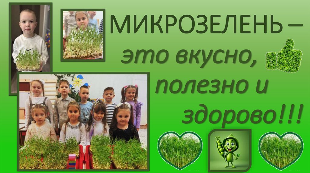 МИКРОЗЕЛЕНЬ – это вкусно, полезно и здорово!!!