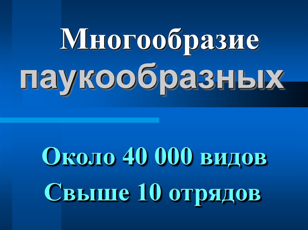 паукообразных