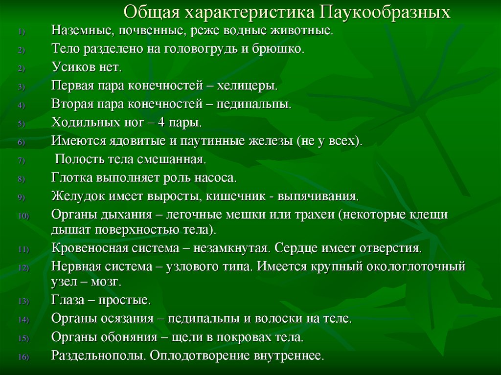 Общая характеристика Паукообразных