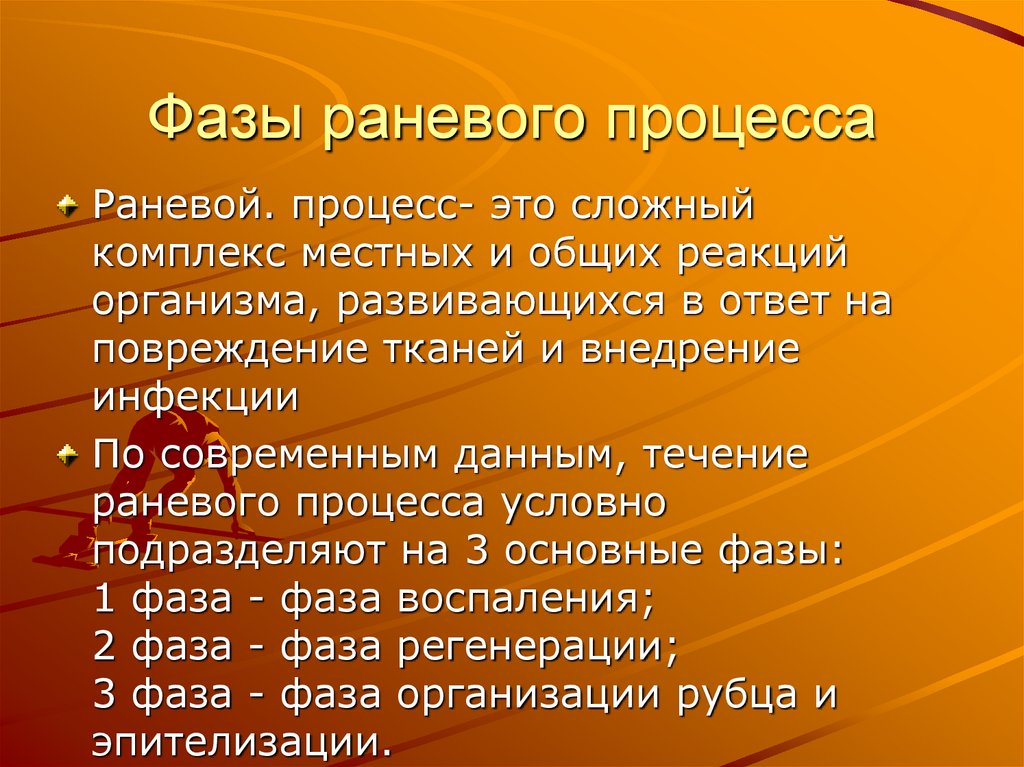 Фазы раневого процесса