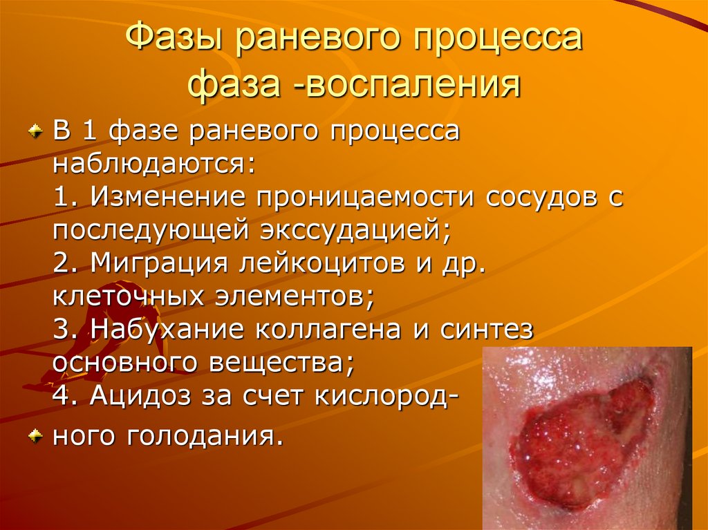 Фазы раневого процесса фаза -воспаления