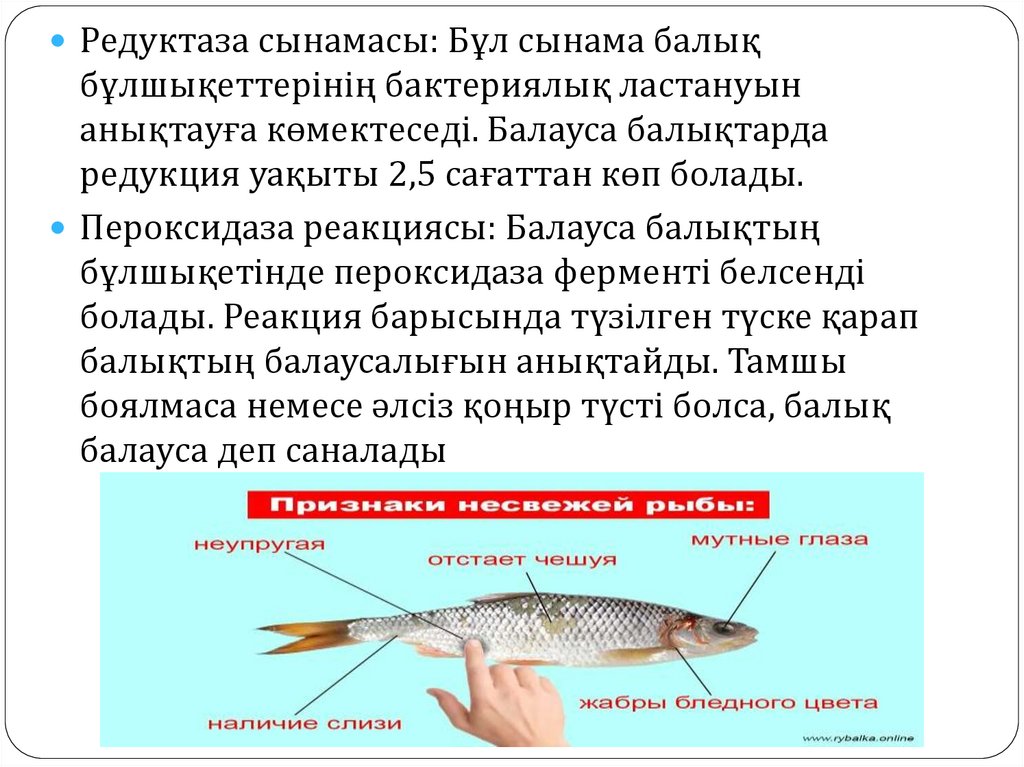 Орыс порно фильмдерін монтажсыз көріңіз