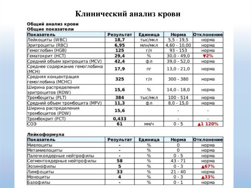 Клинический анализ крови