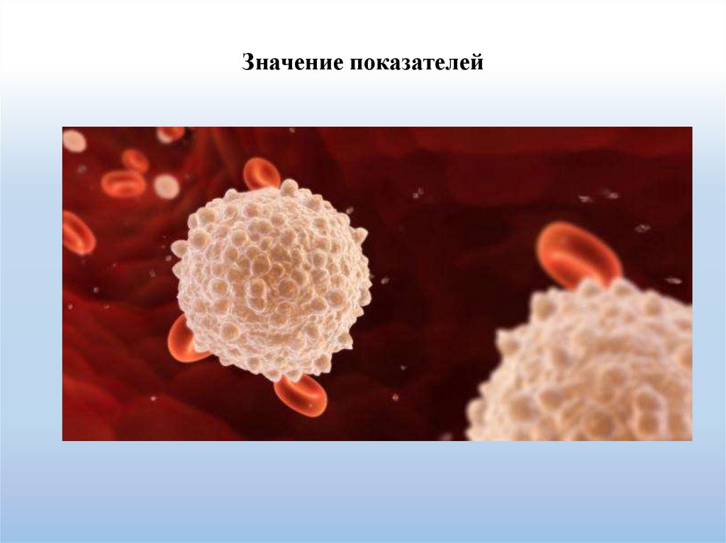 Значение показателей