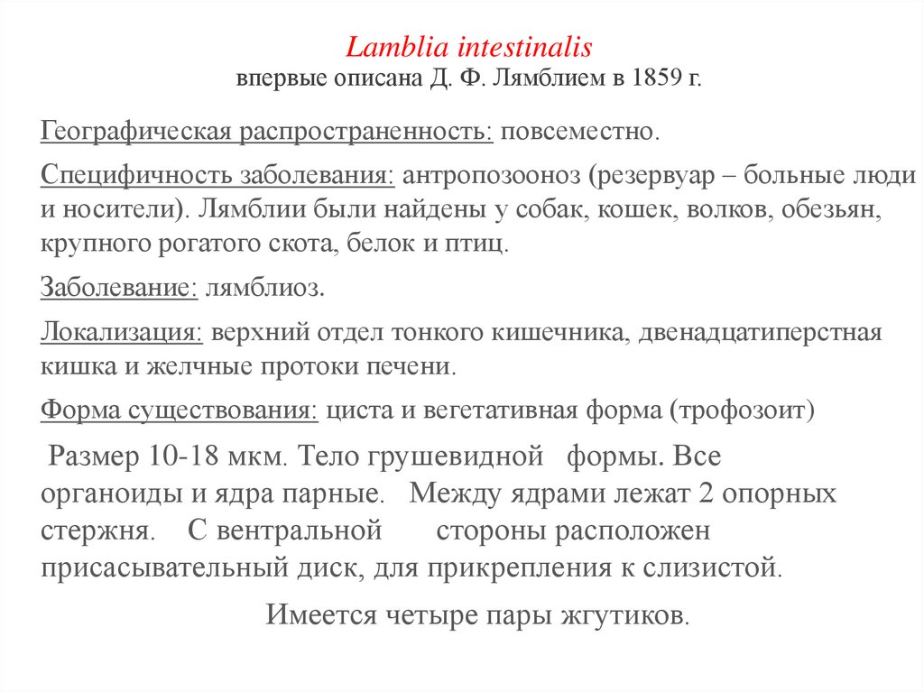 Lamblia intestinalis впервые описана Д. Ф. Лямблием в 1859 г.